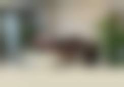 刘伟华医生执业信息