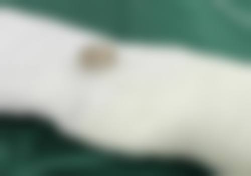 湘南美容京都河原町院地址及乘车路线