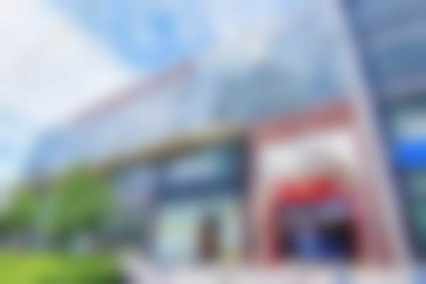 总结与决策建议