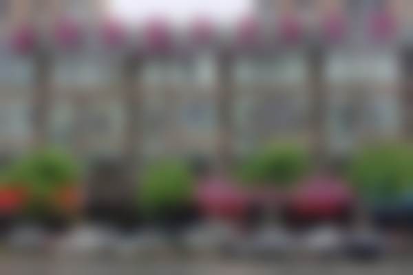 甄毓玲医生怎么预约挂号