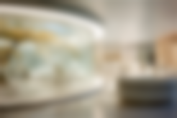 蒋翔峰医生擅长项目