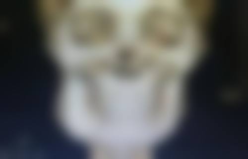 廊坊杨明勇医生坐诊医院：优质的医疗环境