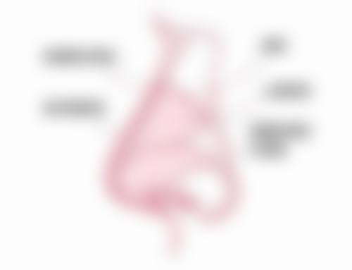 （韩国）崔珍熙医生看诊优势