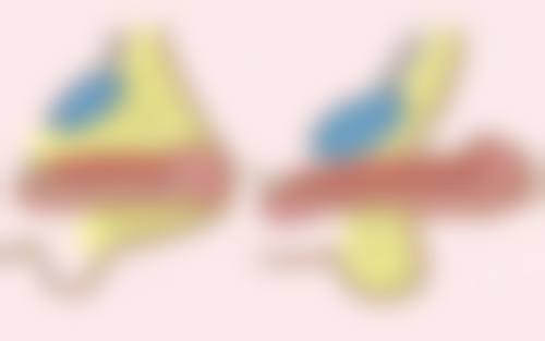 成镇模（韩国）医生擅长项目