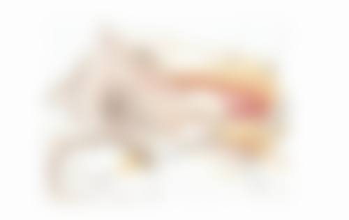 刘麒医生的擅长项目