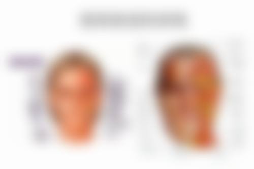 表参道埃莱妮诊所执业信息：合规资质的典范
