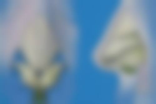 使用眼霜去眼袋简单方法一适合吗