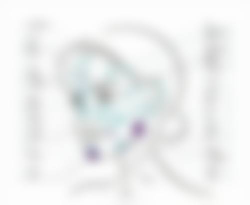牛奔博士技术特点