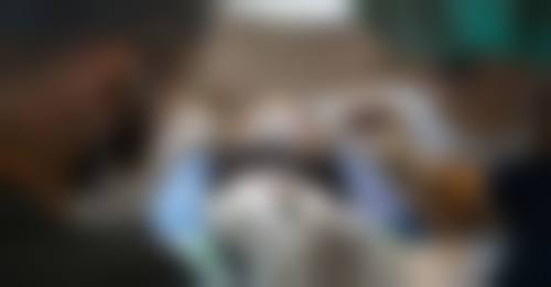 武汉洪山万禾盛植发美容整形医院预约挂号方式