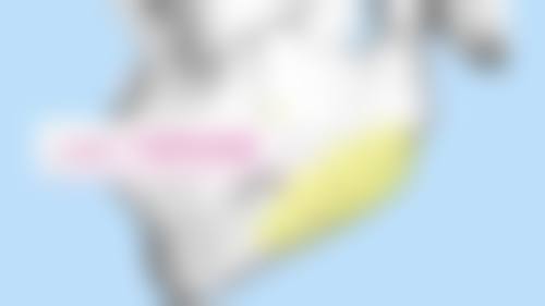 常立新医生执业信息:专精与具有影响力的象征