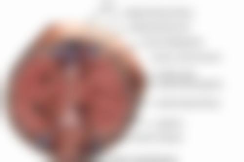 滕立钊医生口碑评价：患者心中的明星医生