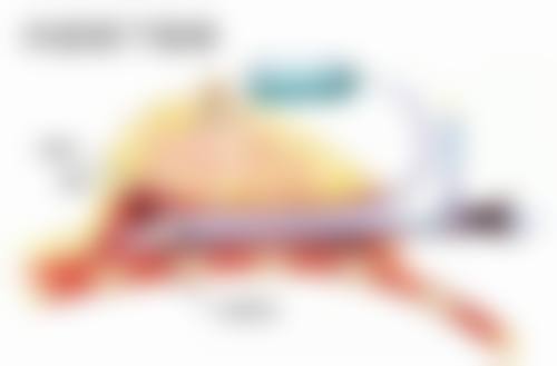 赵今春医生擅长项目