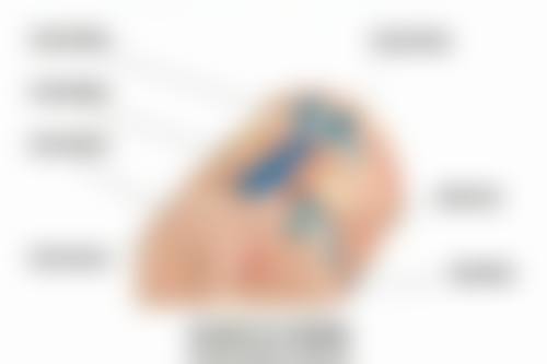 选对隆鼻方法成效能维持10年以上靠谱吗