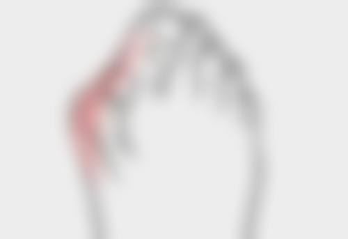 福州比华利医疗美容医院擅长项目:多元美丽秘籍