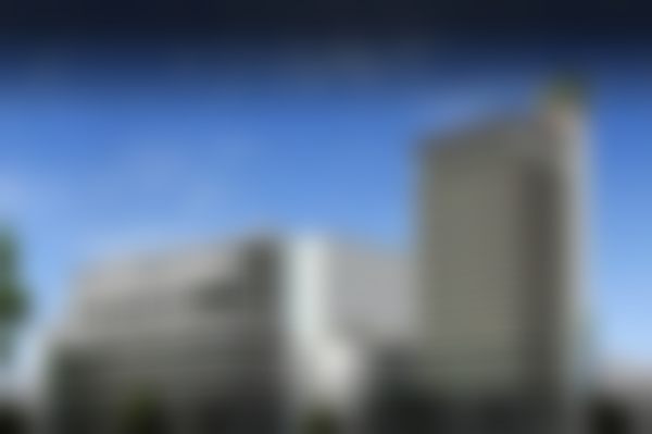 Somboon擅长项目与技术优势