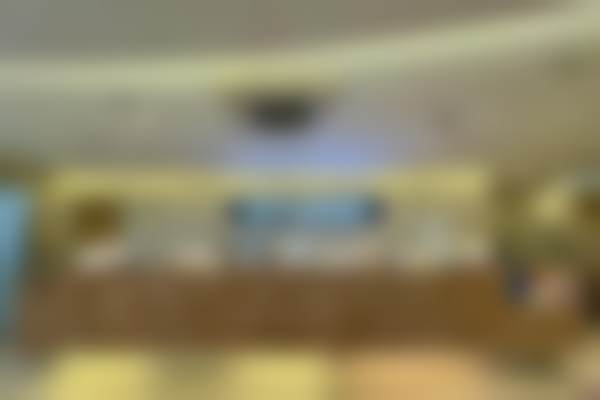 江南区热门项目深度解析：从轮廓到皮肤的全方面指南