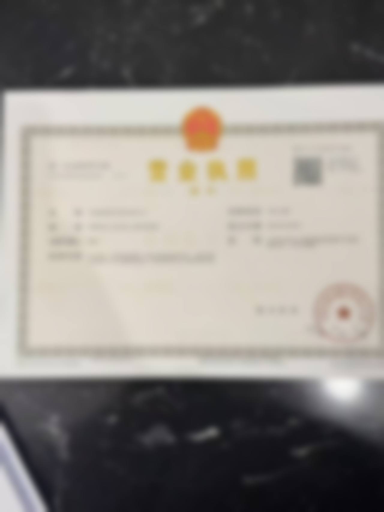 核心骨干医生团队与技术实力解析